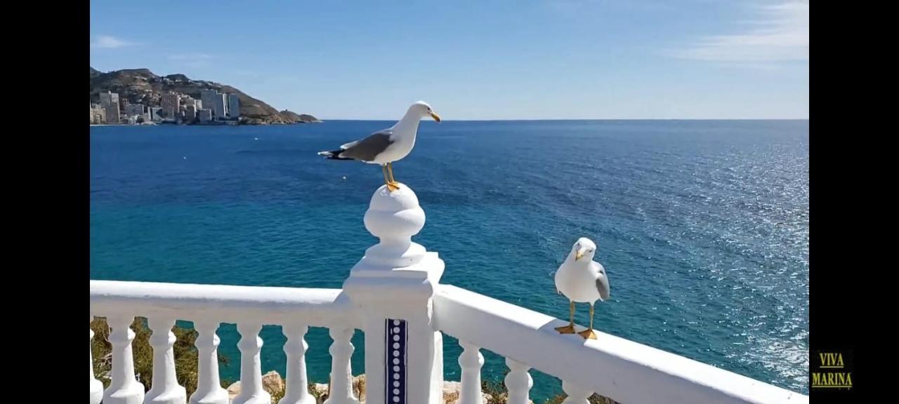 Apartamento Sun Beach Benidorm Luaran gambar